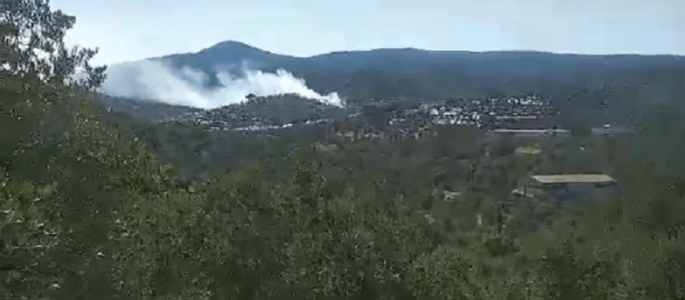 Εν μέσω καλοκαιριού οι πυρκαγιές διαδέχονται η μία την άλλη στη Μόρια (βίντεο)